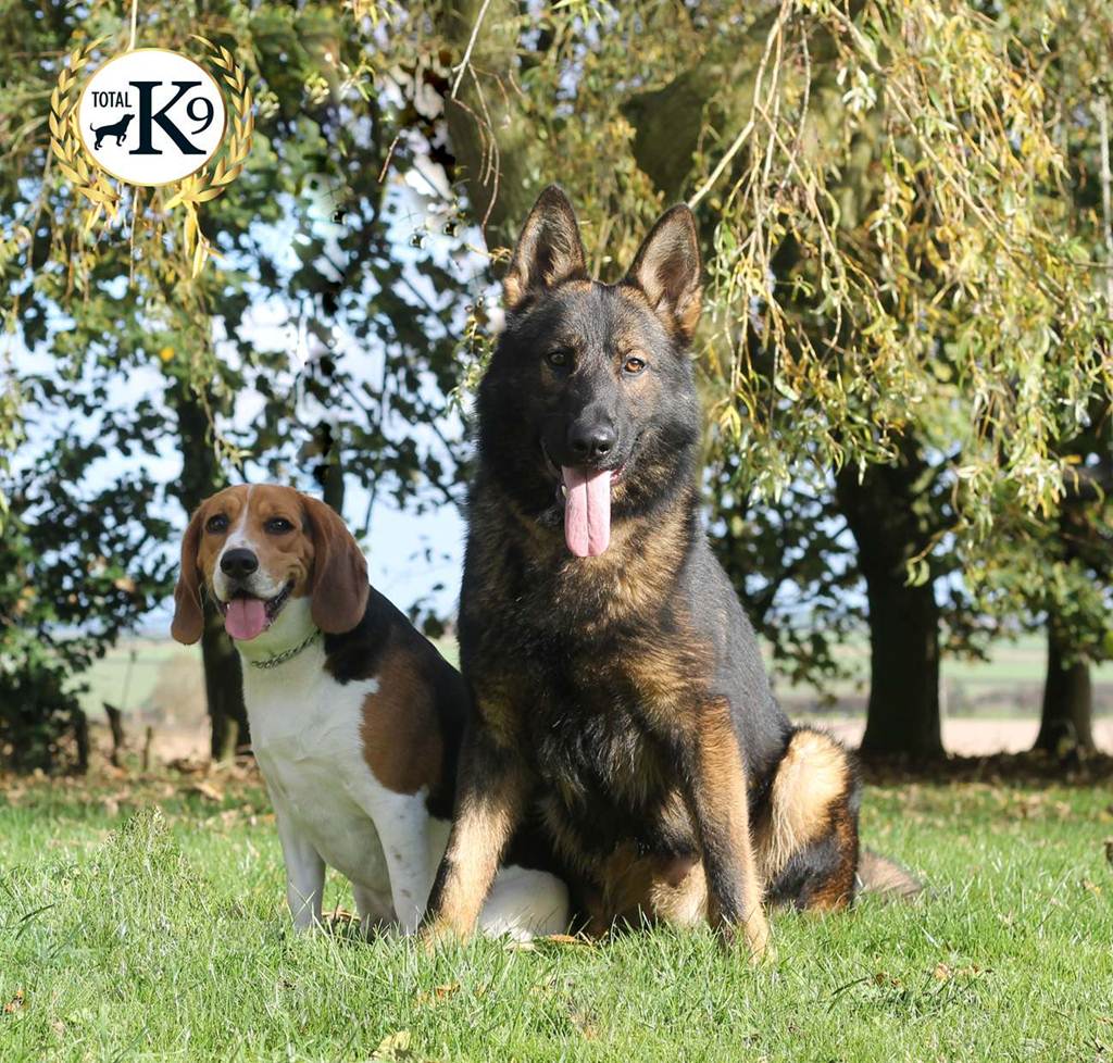 TOTAL K9 - Pet & Working Dog Training