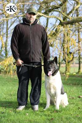 best UK testimonial protection dogs