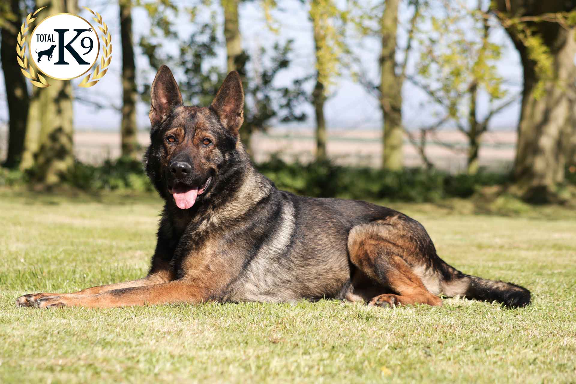 best police dog breeds